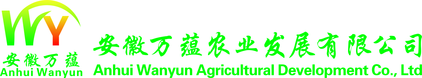 首页