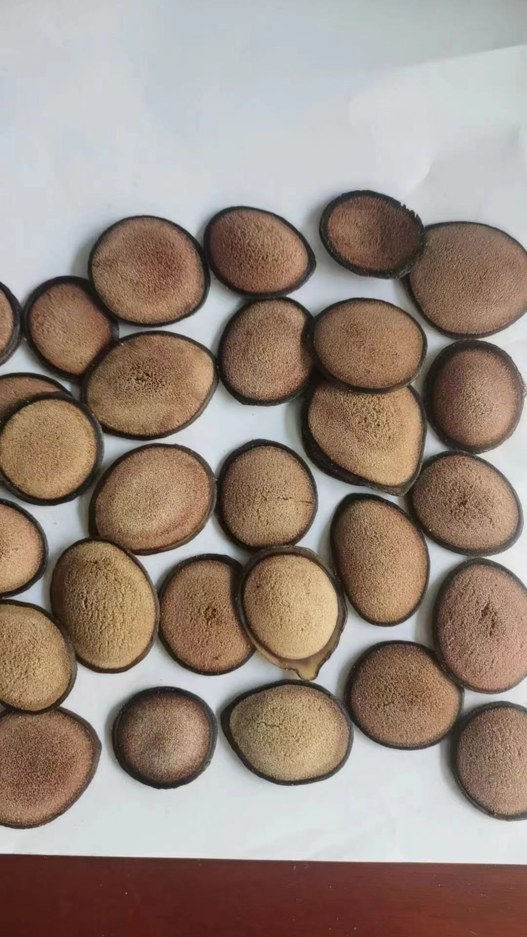 鹿茸片